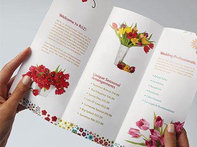 menu-brochures